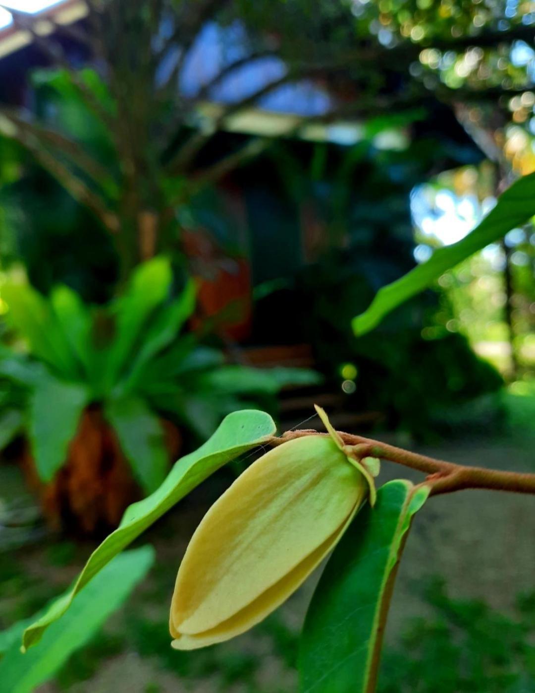Tuaprodhome Khao Lak Habitación foto
