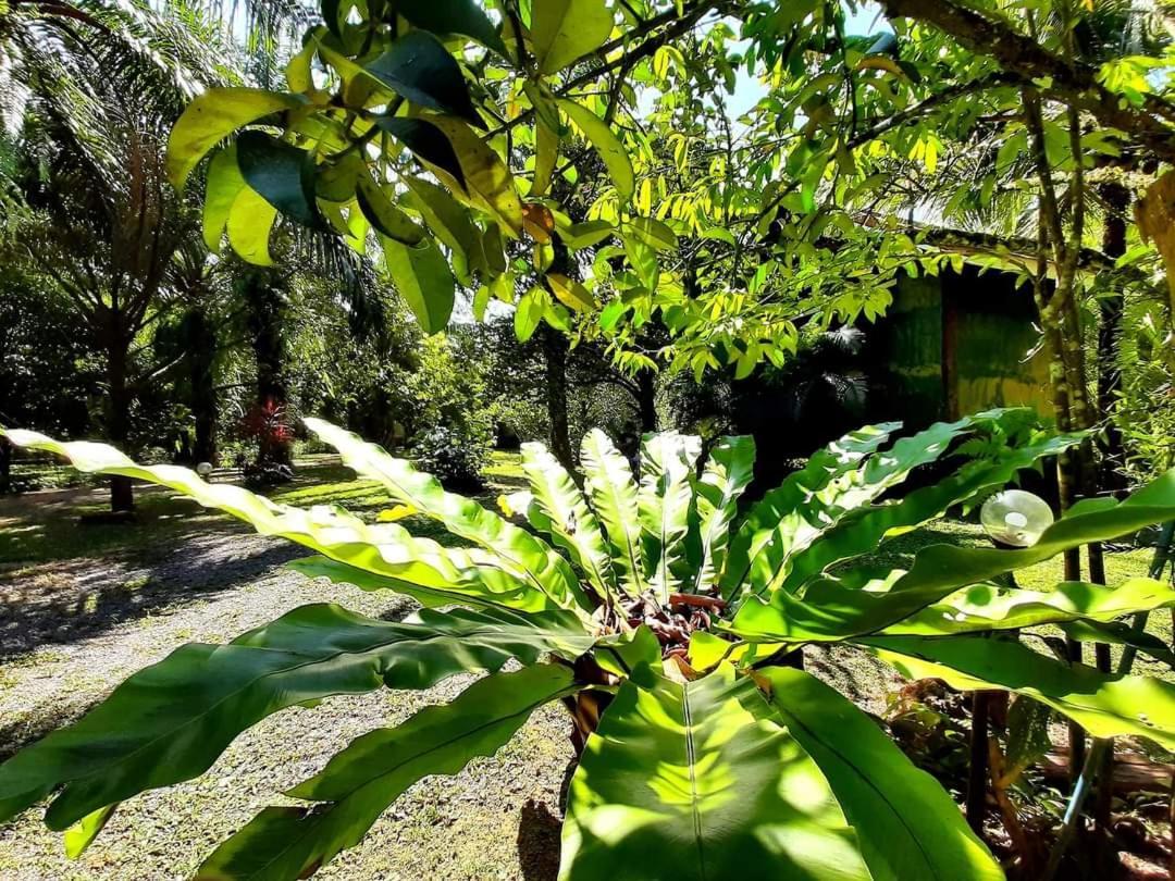 Tuaprodhome Khao Lak Habitación foto