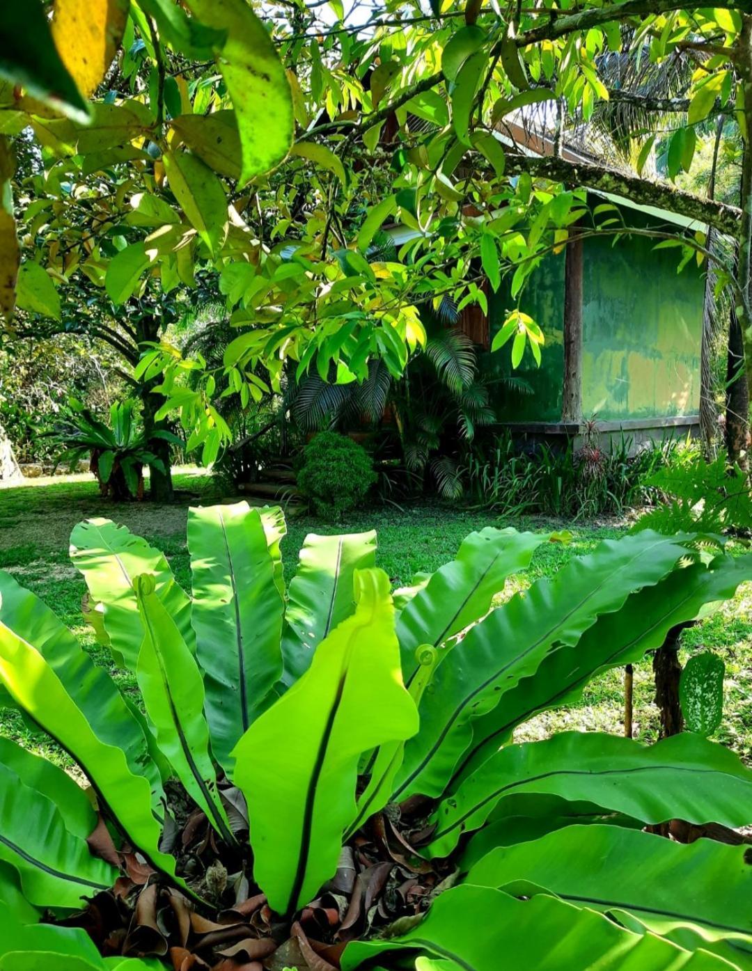 Tuaprodhome Khao Lak Habitación foto
