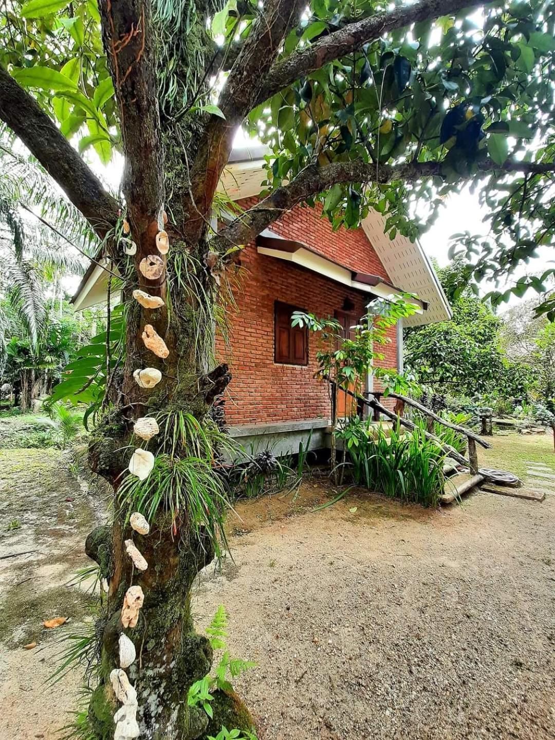 Tuaprodhome Khao Lak Habitación foto